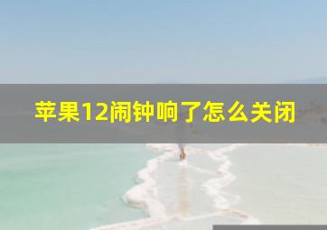 苹果12闹钟响了怎么关闭