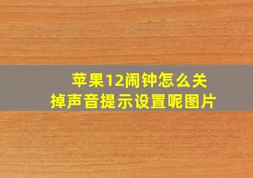 苹果12闹钟怎么关掉声音提示设置呢图片