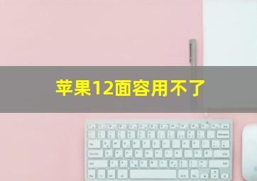 苹果12面容用不了