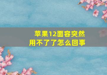 苹果12面容突然用不了了怎么回事