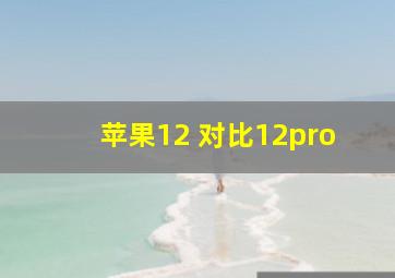 苹果12 对比12pro