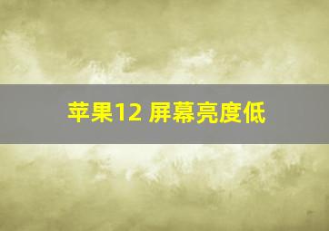 苹果12 屏幕亮度低