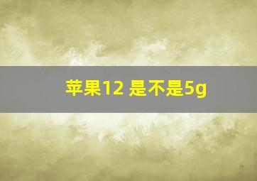 苹果12 是不是5g