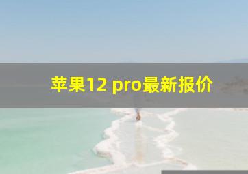 苹果12 pro最新报价