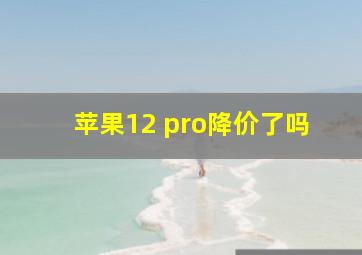 苹果12 pro降价了吗