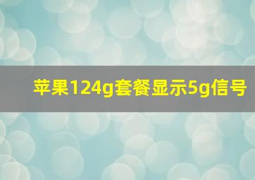 苹果124g套餐显示5g信号