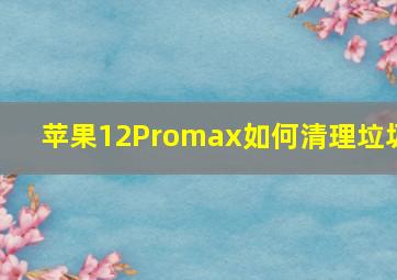 苹果12Promax如何清理垃圾