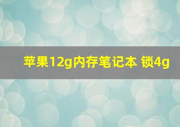 苹果12g内存笔记本 锁4g