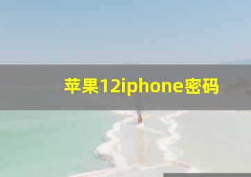 苹果12iphone密码