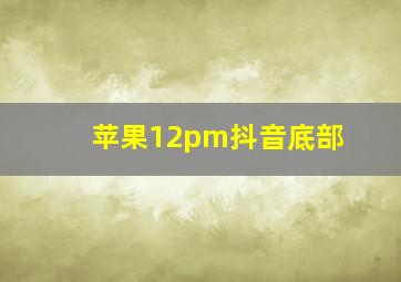 苹果12pm抖音底部