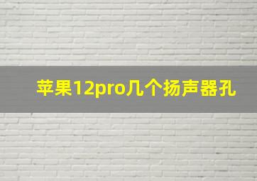 苹果12pro几个扬声器孔