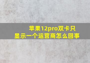 苹果12pro双卡只显示一个运营商怎么回事