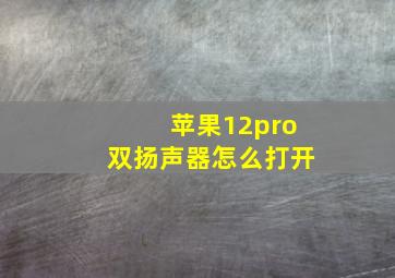 苹果12pro双扬声器怎么打开