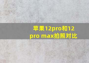 苹果12pro和12pro max拍照对比