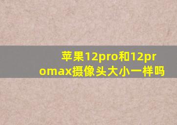 苹果12pro和12promax摄像头大小一样吗