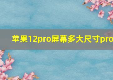 苹果12pro屏幕多大尺寸pro