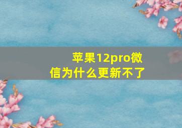 苹果12pro微信为什么更新不了