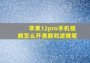 苹果12pro手机视频怎么开美颜和滤镜呢