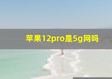 苹果12pro是5g网吗