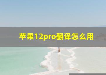 苹果12pro翻译怎么用