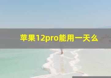 苹果12pro能用一天么