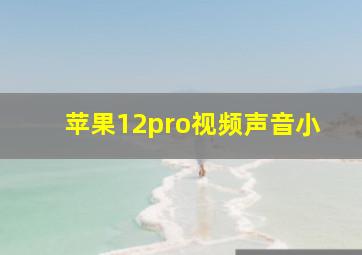 苹果12pro视频声音小