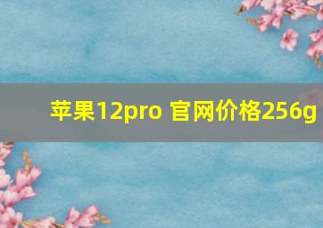 苹果12pro 官网价格256g