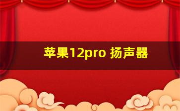 苹果12pro 扬声器