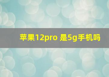 苹果12pro 是5g手机吗