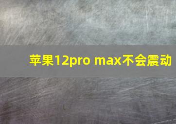 苹果12pro max不会震动