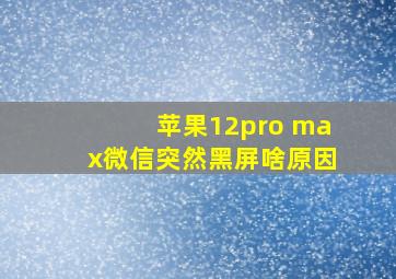 苹果12pro max微信突然黑屏啥原因