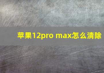 苹果12pro max怎么清除