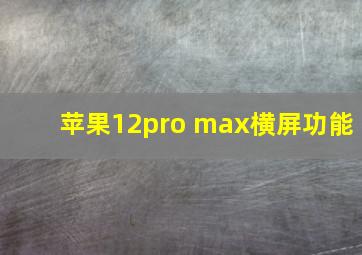 苹果12pro max横屏功能