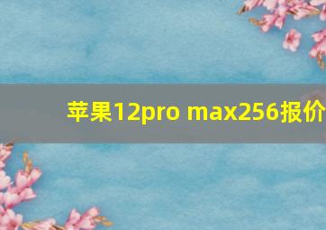 苹果12pro max256报价