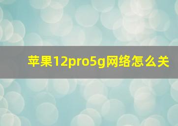 苹果12pro5g网络怎么关