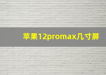 苹果12promax几寸屏