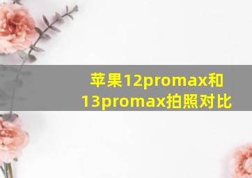 苹果12promax和13promax拍照对比