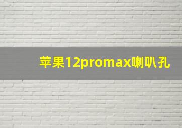 苹果12promax喇叭孔