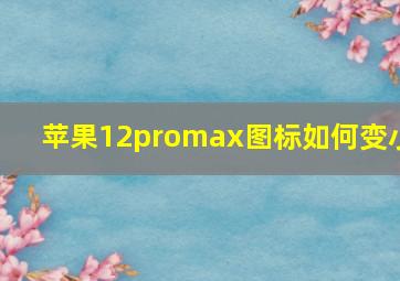 苹果12promax图标如何变小