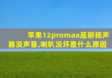 苹果12promax底部扬声器没声音,喇叭没坏是什么原因