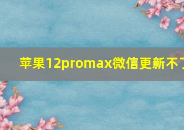 苹果12promax微信更新不了