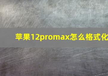 苹果12promax怎么格式化