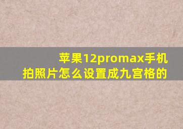 苹果12promax手机拍照片怎么设置成九宫格的