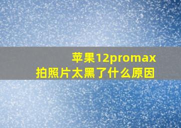 苹果12promax拍照片太黑了什么原因