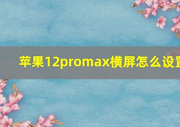 苹果12promax横屏怎么设置