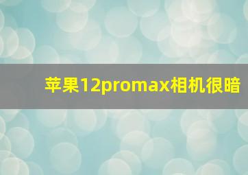 苹果12promax相机很暗