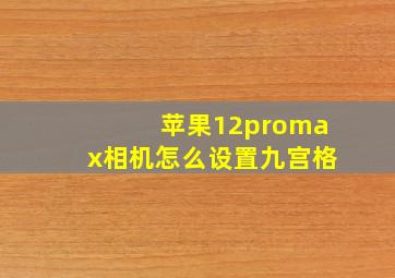 苹果12promax相机怎么设置九宫格