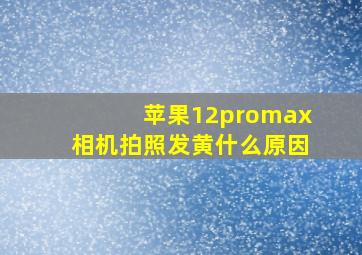 苹果12promax相机拍照发黄什么原因