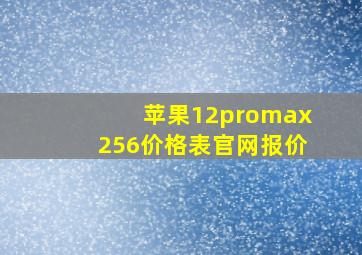 苹果12promax256价格表官网报价