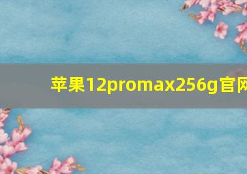 苹果12promax256g官网